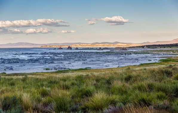 Картинка california, usa, mono lake