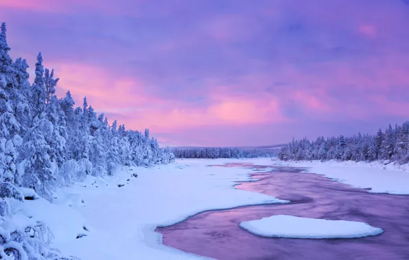 Река, Небо, Природа, Зима, Снег, Ель, Финляндия, Лапландия