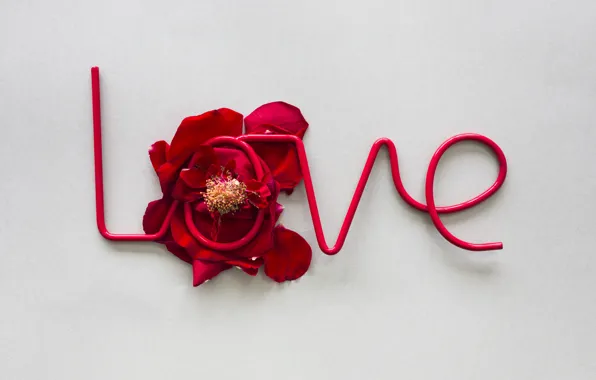 Картинка любовь, розы, лепестки, red, love, rose, romantic, petals