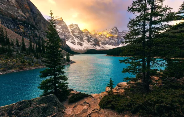 Деревья, горы, озеро, ели, Канада, Альберта, Banff National Park, Alberta