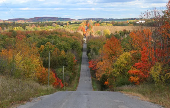 Картинка Дорога, Осень, Деревья, Долина, Fall, Autumn, Colors, Road