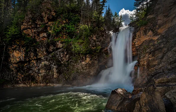 Картинка деревья, река, скалы, водопад, поток, Монтана, Glacier National Park, Montana