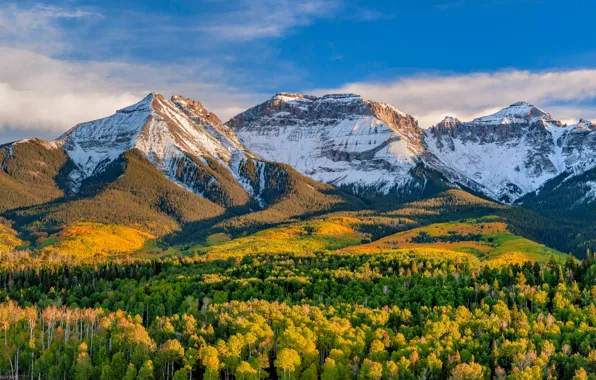 Картинка осень, лес, горы, Колорадо, Colorado, San Juan Mountains, Горы Сан-Хуан
