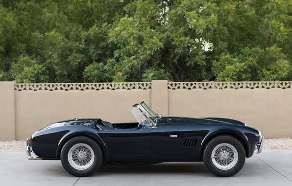 Черный, Shelby, вид сбоку, ретро автомобили, 1963, Shelby Cobra, единственный экземпляр, Cobra 289