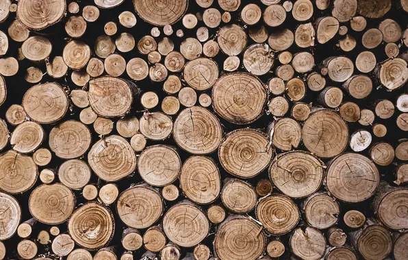 Wood, pile, firewood, logs