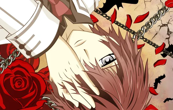 Картинка рука, лепестки, галстук, парень, красная роза, цепи, школьная форма, art