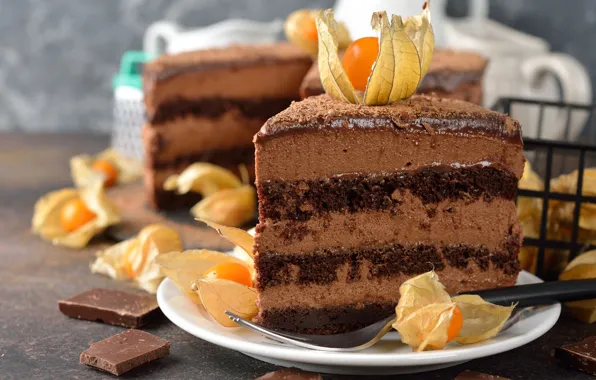 Шоколад, торт, украшение, крем, десерт, кусочек торта