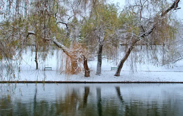 Картинка зима, осень, листья, снег, пруд, парк, два сезона