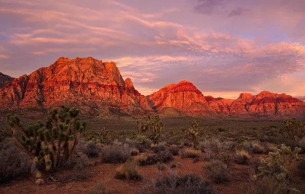 Горы, скалы, пустыня, Лас-Вегас, зарево, США, Невада, Red Rock Canyon