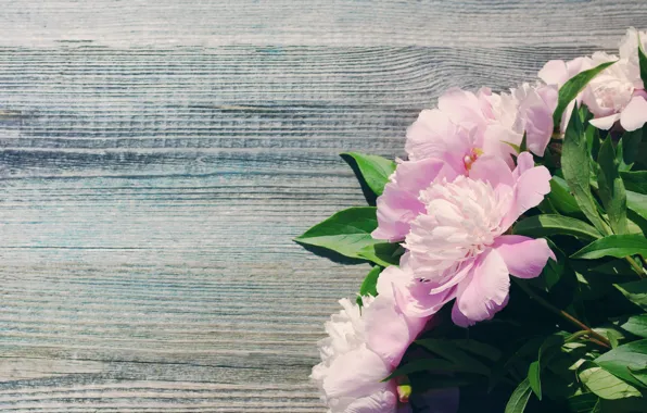Букет, розовые, wood, pink, flowers, beautiful, пионы, peony