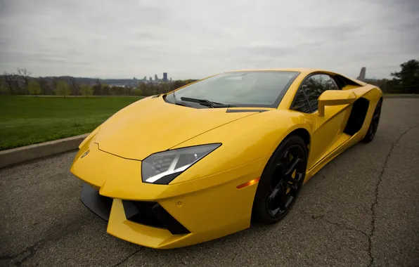 Картинка дорога, асфальт, трещины, жёлтый, газон, lamborghini, вид сбоку, yellow