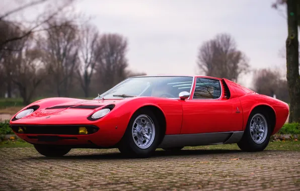 Цвет, Авто, Желтый, Lamborghini, Машина, Классика, Фары, Автомобиль