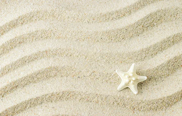Картинка песок, фон, морская звезда, beach, texture, background, sand, marine