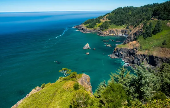 Море, деревья, камни, скалы, побережье, горизонт, США, Oregon