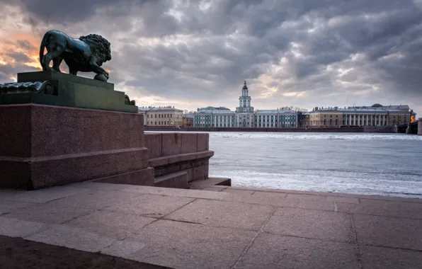 Река, здания, лев, Санкт-Петербург, скульптура, Россия, набережная, Кунсткамера