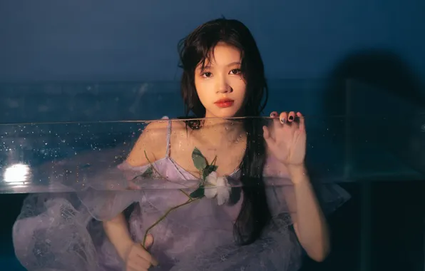 Aquarium, Beautiful, Asian, Model, Flower, Rose, Water, Woman