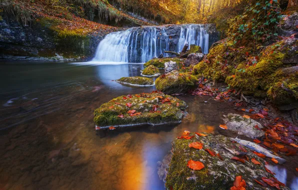 Картинка осень, лес, листья, река, камни, Франция, водопад, каскад