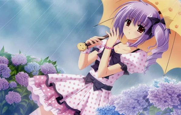 Картинка взгляд, девушка, цветы, зонтик, дождь, платье