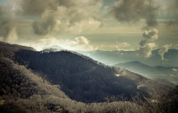 Картинка облака, деревья, горы, тучи, США, леса, North Carolina