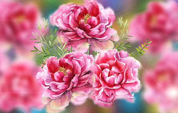 Grafika, Kwiaty