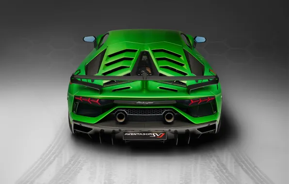 Lamborghini, суперкар, вид сзади, 2018, Aventador, SVJ, Aventador SVJ