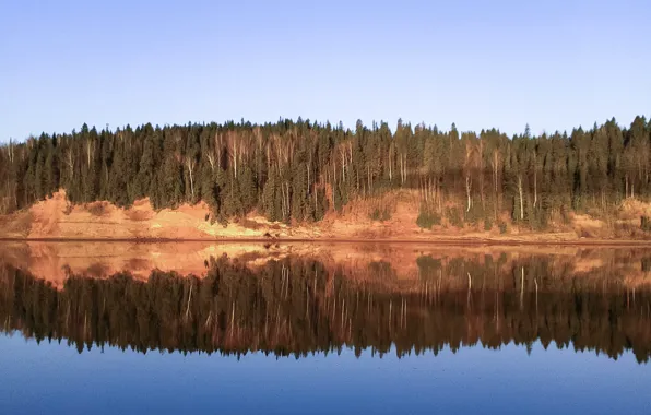 Пейзаж, природа, отражение, безмятежность, Лес, штиль