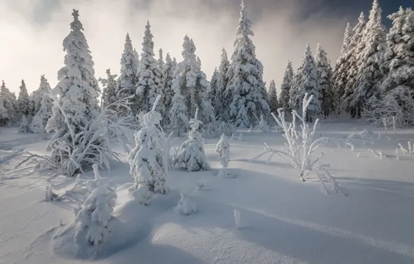 Зима, Россия, Национальный парк Таганай, Челябинская область