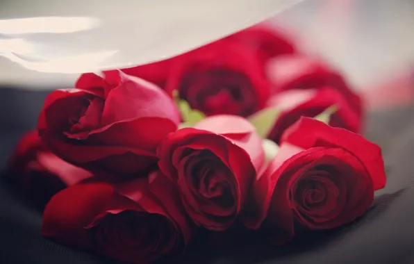 Цветы, букет, Розы, красные бутоны