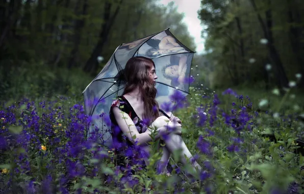 Картинка девушка, цветы, зонт