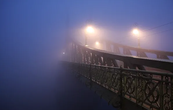 Картинка свет, ночь, город, туман, фото, лампы, мосты