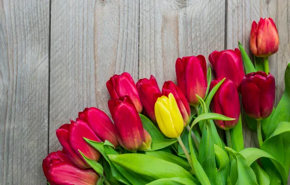 Цветы, букет, colorful, тюльпаны, red, wood, flowers, tulips