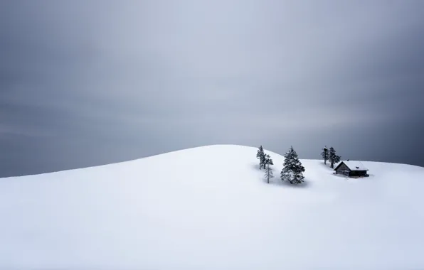 Картинка house, trees, winter