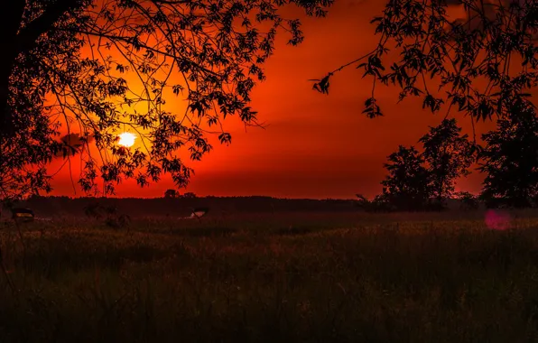 Солнце, закат, зарево