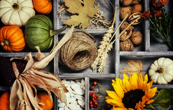 Картинка осень, листья, корзина, урожай, тыква, овощи, autumn, still life