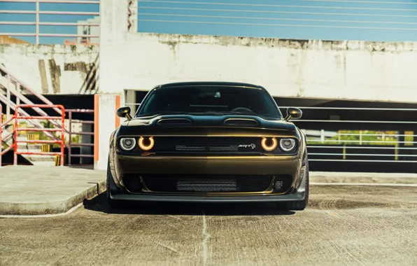 Картинка Dodge, Challenger, SRT, HellCat