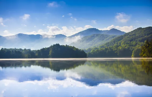 Картинка лес, горы, озеро, отражение, утро