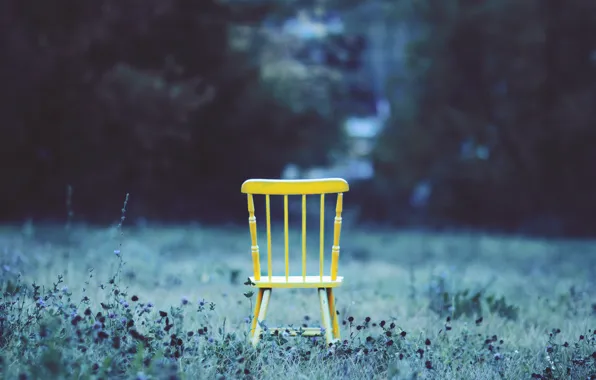 Картинка трава, двор, стул