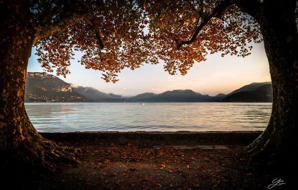 Картинка осень, деревья, горы, озеро