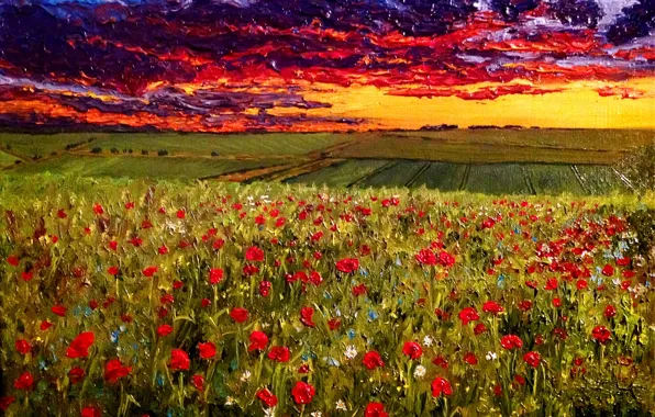 Масло, картина, холст, художник О.Кац., &ampquot;Вечернее небо над маковым полем&ampquot;