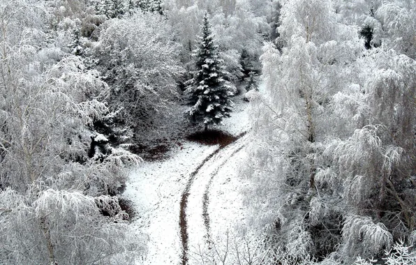 Картинка зима, дорога, снег, деревья, road, trees, nature, snow