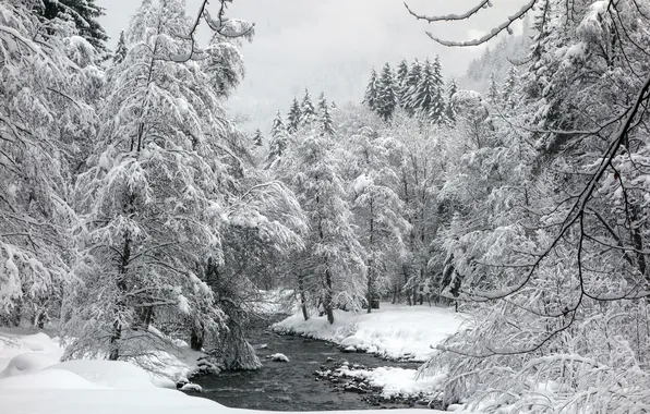 Картинка зима, лес, пейзаж, река