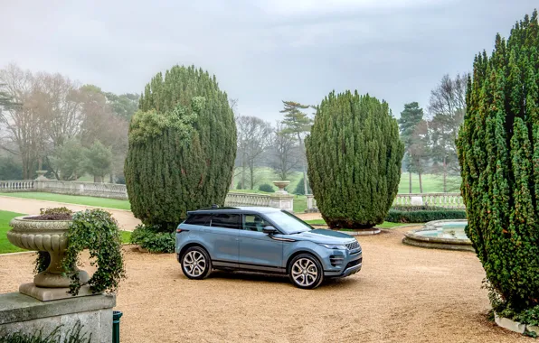 Авто, природа, Land Rover, Evoque, R-Dynamic