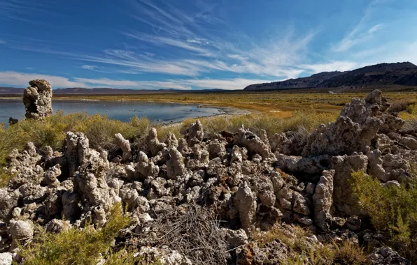 Картинка озеро, Калифорния, США, Mono Lake