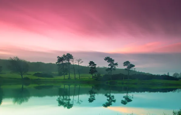 Картинка небо, природа, зеленый, река, берег, розовое