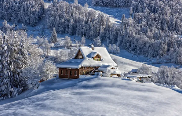 Картинка зима, снег, пейзаж, горы, природа, дом, Швейцария, леса
