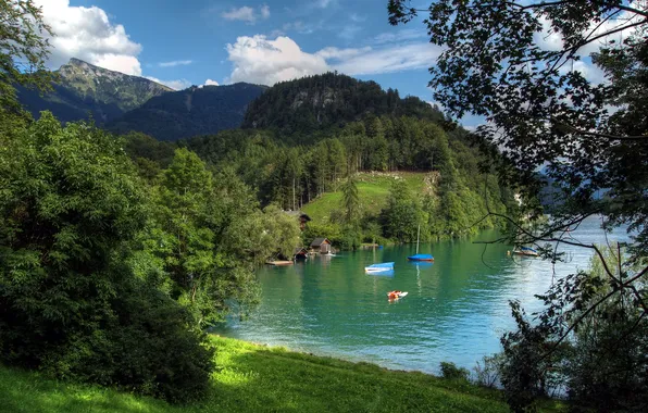 Картинка лес, деревья, горы, озеро, лодка, Австрия, домик, wolfgangsee