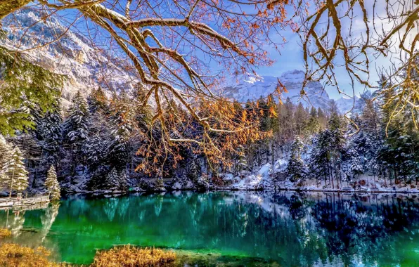 Картинка снег, деревья, пейзаж, горы, ветки, природа, озеро, Швейцария