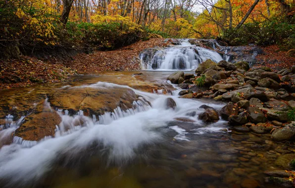 Осень, лес, деревья, камни, берег, водопад, булыжники