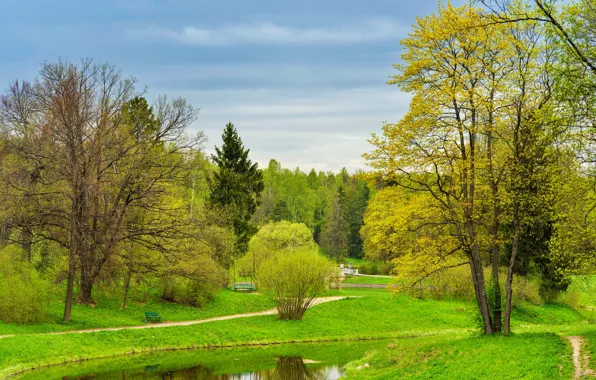 Зелень, небо, трава, деревья, парк, весна, Санкт-Петербург, Россия