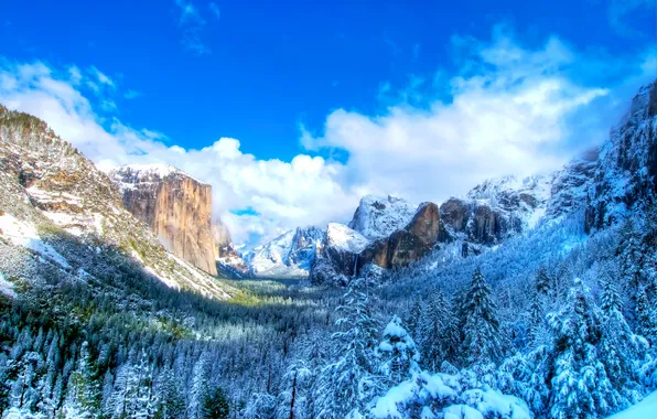 Картинка зима, небо, горы, природа, парк, фото, ель, США
